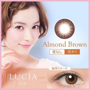 LUCIA 1Day Almond Brown
